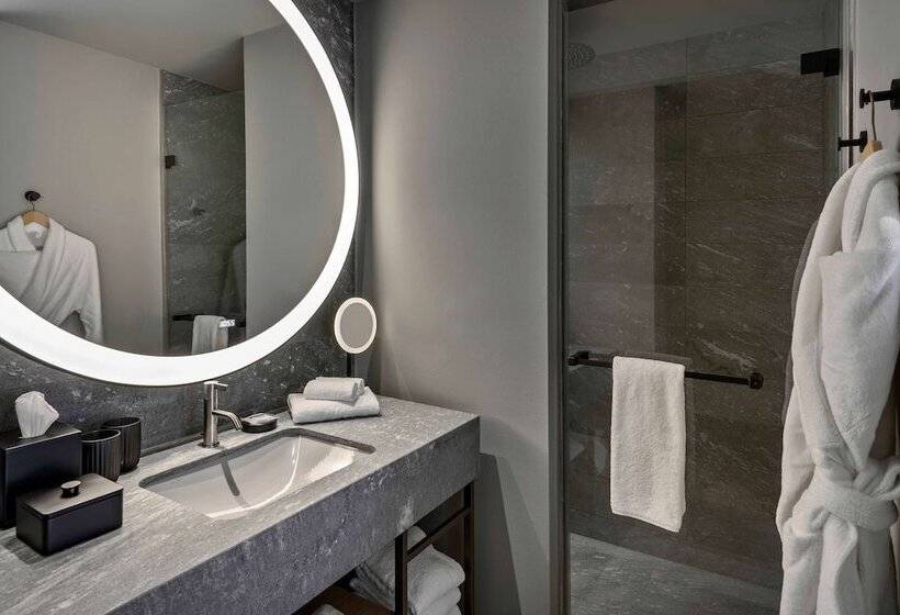 اتاق دلوکس با چشم‌انداز پارک, Hyatt Regency Zurich Airport Circle