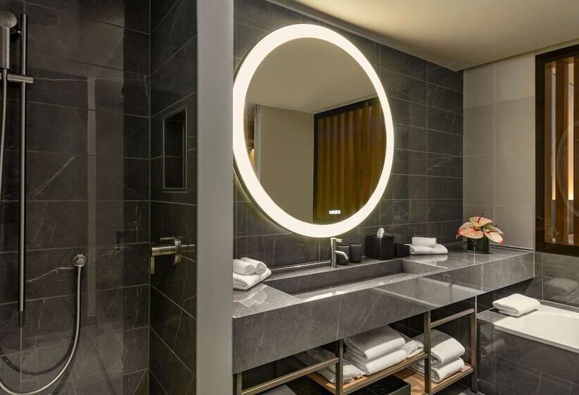 سوییت اجرایی, Hyatt Regency Zurich Airport Circle