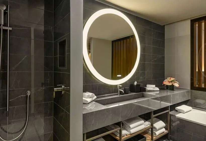 سوییت اجرایی, Hyatt Regency Zurich Airport Circle