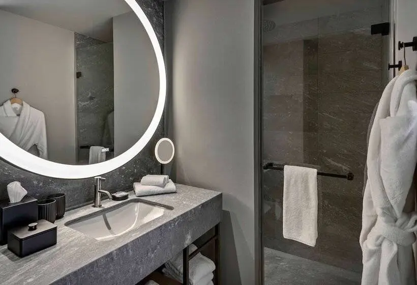 اتاق کلاب, Hyatt Regency Zurich Airport Circle