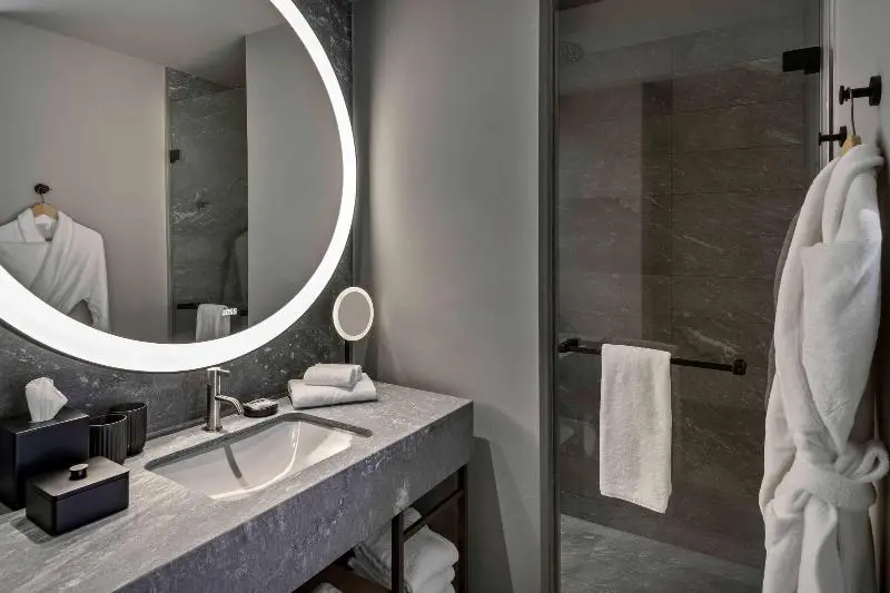 اتاق لوکس با تخت بزرگ, Hyatt Regency Zurich Airport Circle