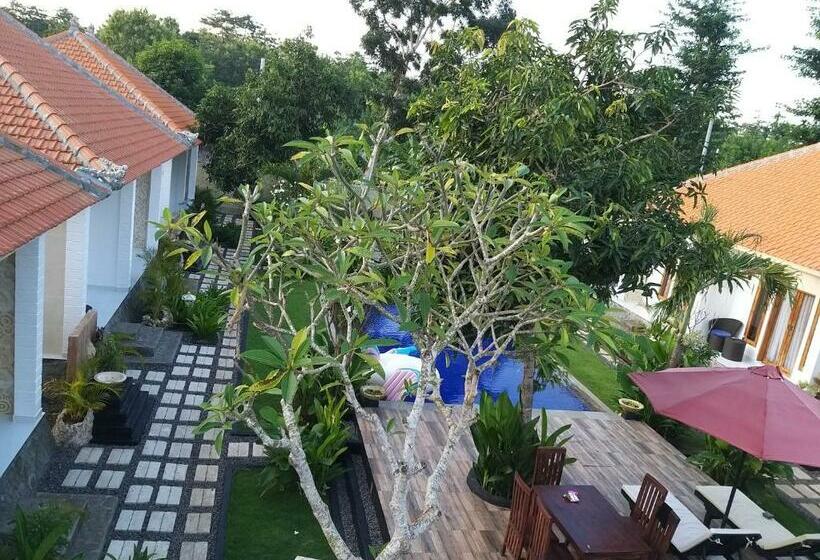 デラックスルーム, Adi Abian Villa