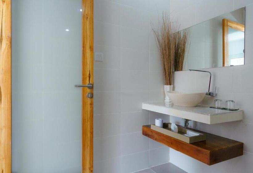 デラックスルーム, Adi Abian Villa