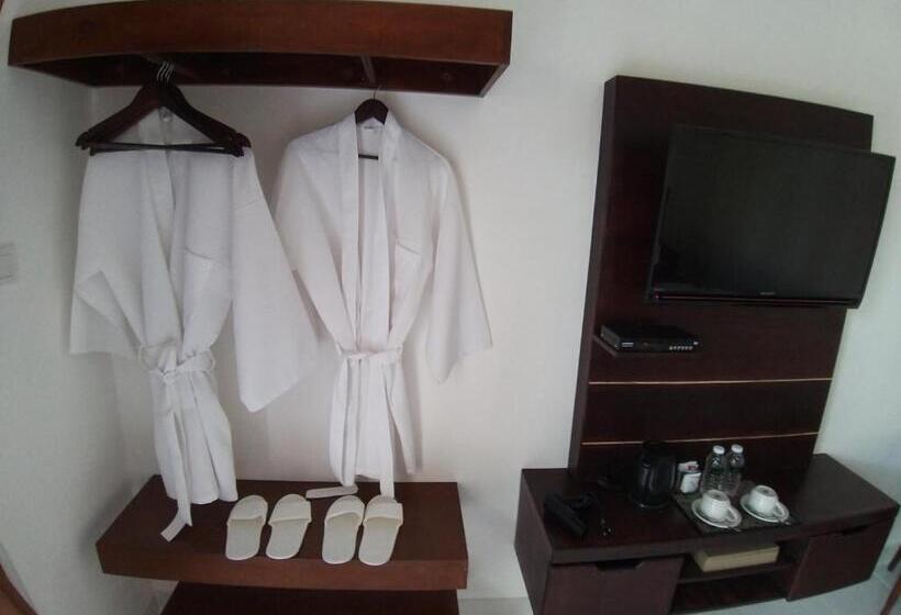 デラックスルーム, Adi Abian Villa