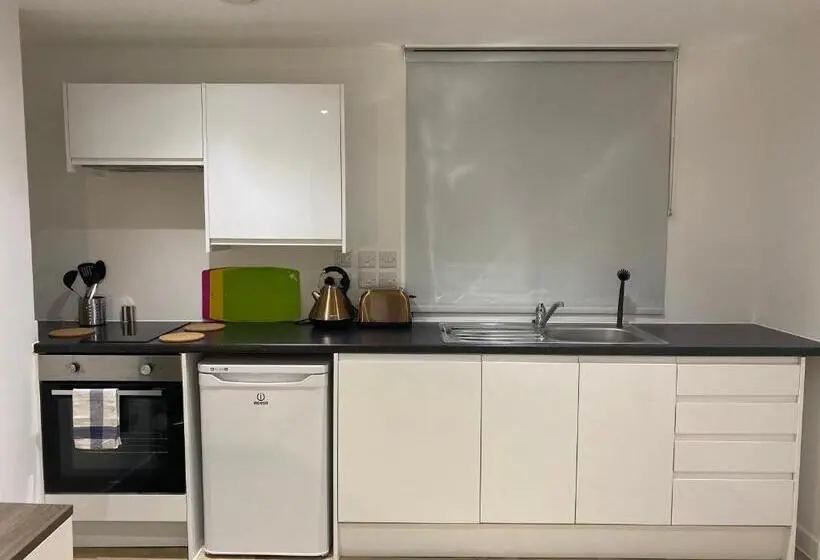 اتاق استاندارد با تخت بزرگ, Ps Apartments