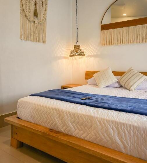 Standard Studio, Zafra S