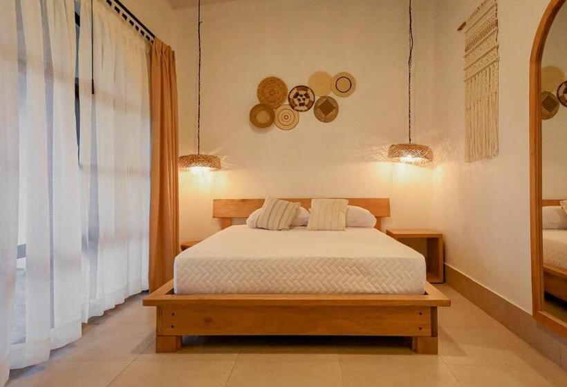 Standard Studio, Zafra S