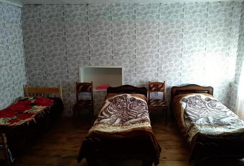 اتاق خانوادگی, Nizharadze's Tower