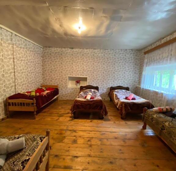 اتاق خانوادگی, Nizharadze's Tower