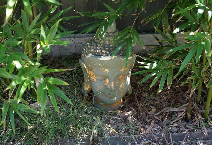 身障者適用キングサイズベッドルーム, Driftaway On Dundas