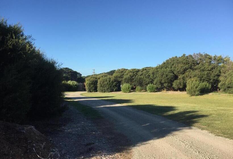 キングサイズベッドのデラックススイート, Driftaway On Dundas