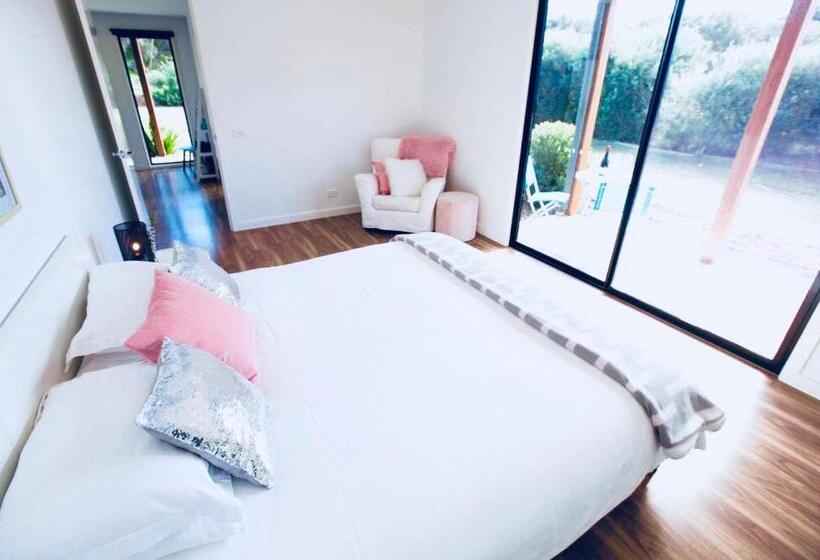 キングサイズベッドのデラックスルーム, Driftaway On Dundas