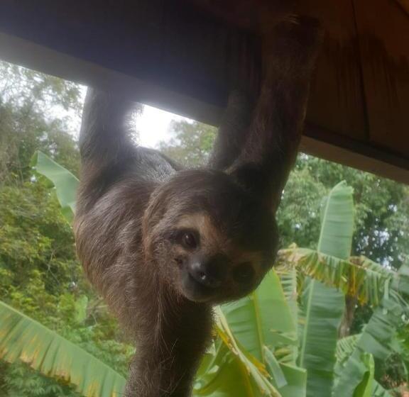 套房, Residencia La Bussola