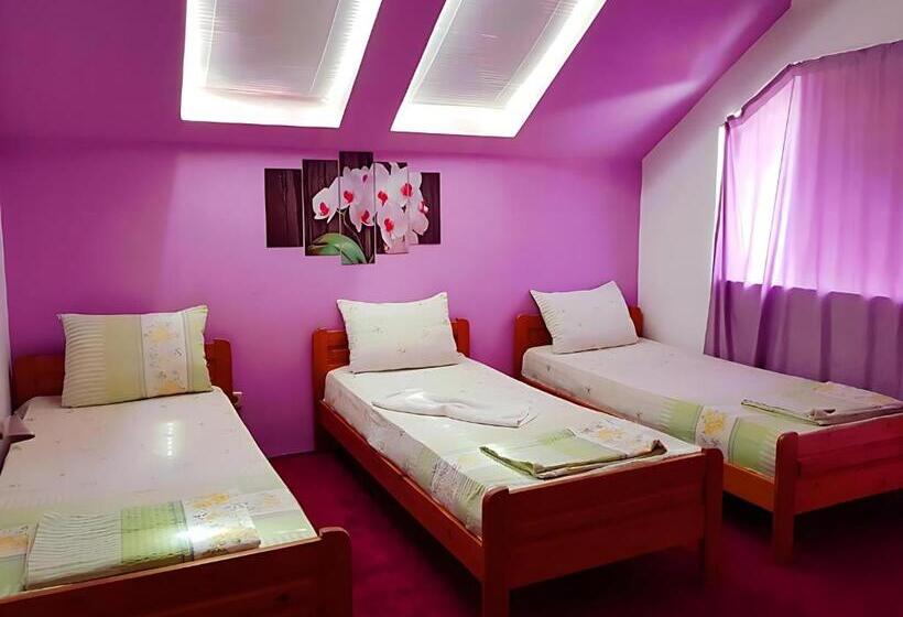 Suite with Terrace, Guesthouse Flora
