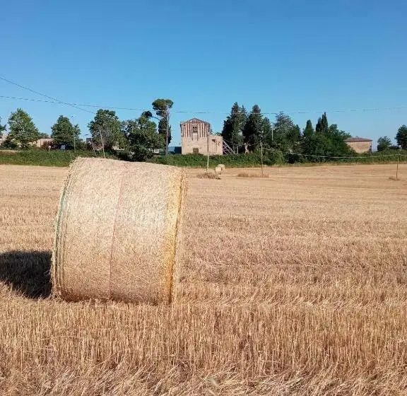 テラス付き１ベッドルームアパートメント, Agriturismo Bellebuono