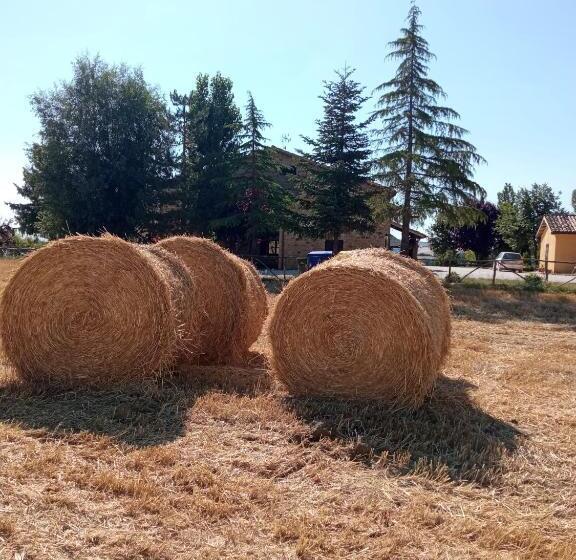 דירת חדר, Agriturismo Bellebuono