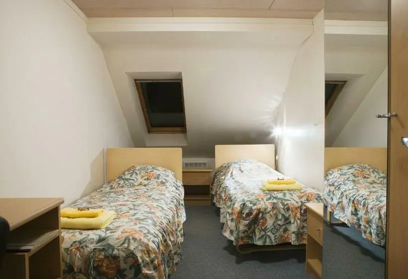 اتاق استاندارد با سرویس بهداشتی مشترک, Posti Hostel
