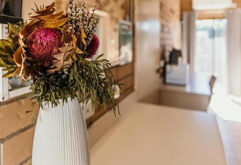 اتاق خانوادگی, Abacus Motel