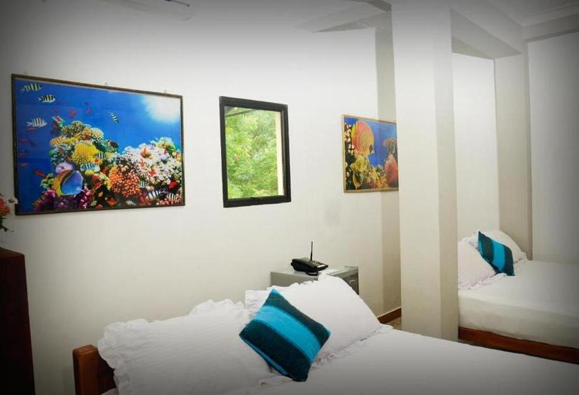 四人标准间, Ctc Receptions