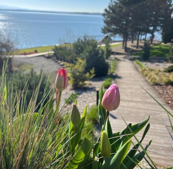 四人标准间, Eurobus