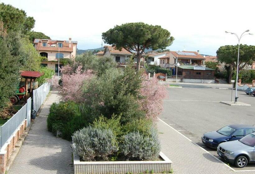 غرفة قياسية, La Mimosa