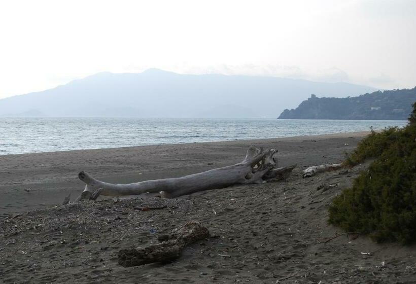 חדר סטנדרט, La Mimosa