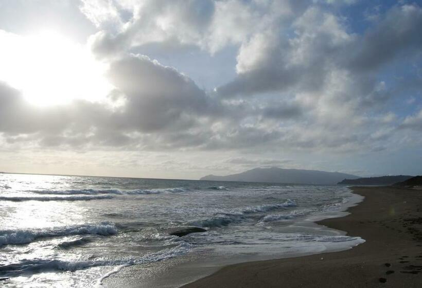 غرفة قياسية, La Mimosa