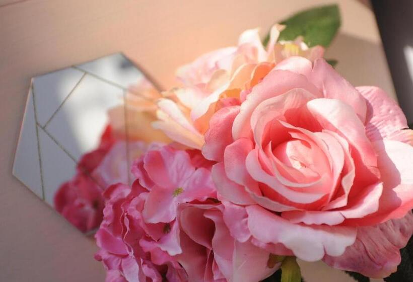 غرفة قياسية, Le Giare