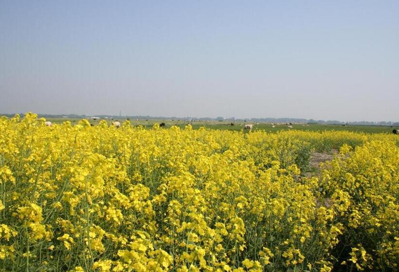 스탠다드 발코니 룸, Gästehaus Gudrun