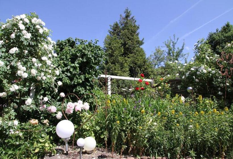 스탠다드 발코니 룸, Gästehaus Gudrun