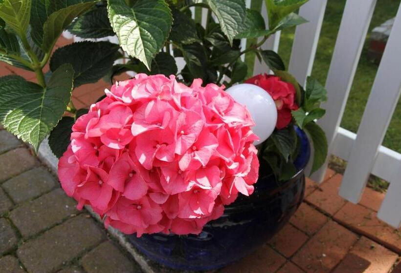 스탠다드 발코니 룸, Gästehaus Gudrun