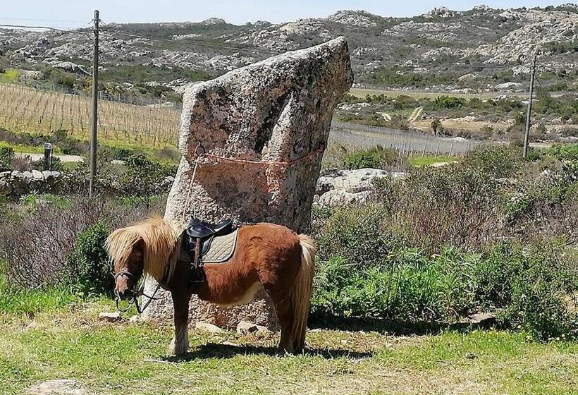 חדר סטנדרט, B&b Sa Soliana