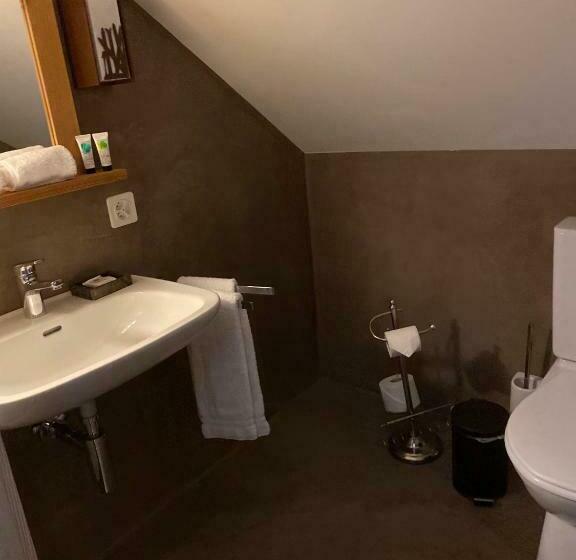 غرفة قياسية فردية, Sanetsch