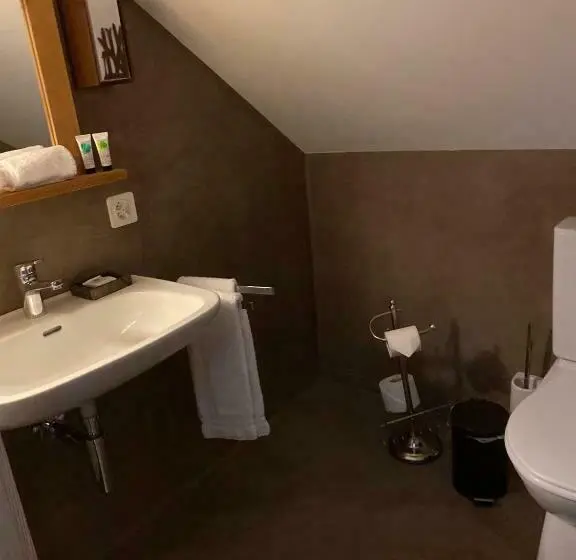 Standard Single Room, Sanetsch
