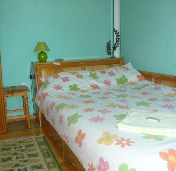 Номер Стандарт Индивидуальный, Guest House Edelweiss