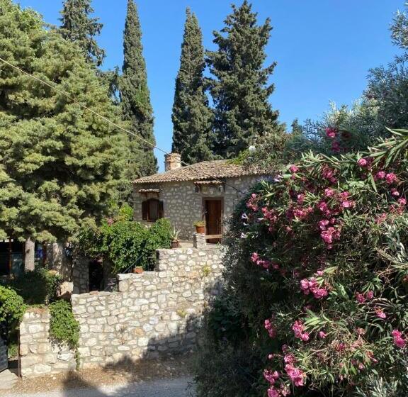 חדר סטנדרט, Medusa House Butik