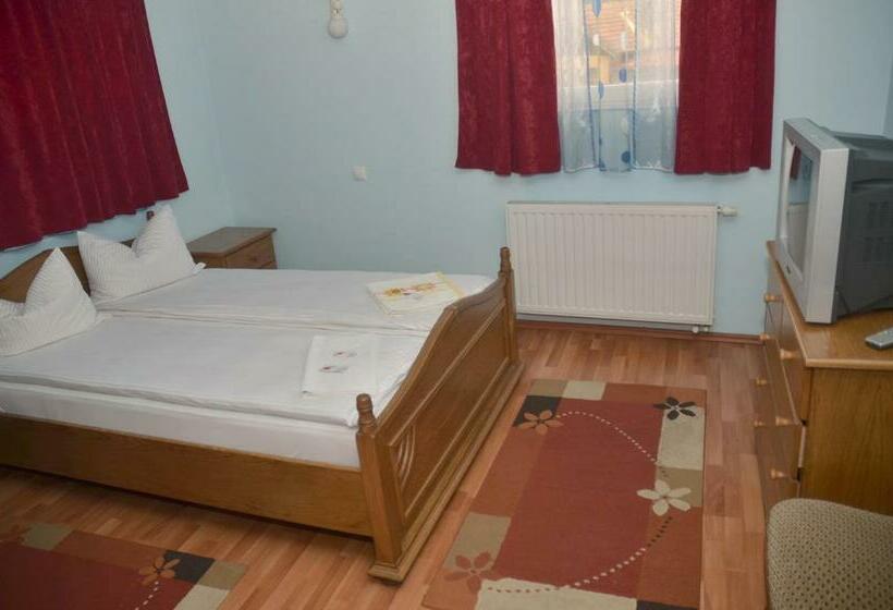 غرفة قياسية, Pensiunea La Palaguta