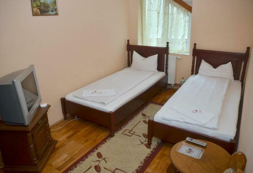 غرفة قياسية, Pensiunea La Palaguta