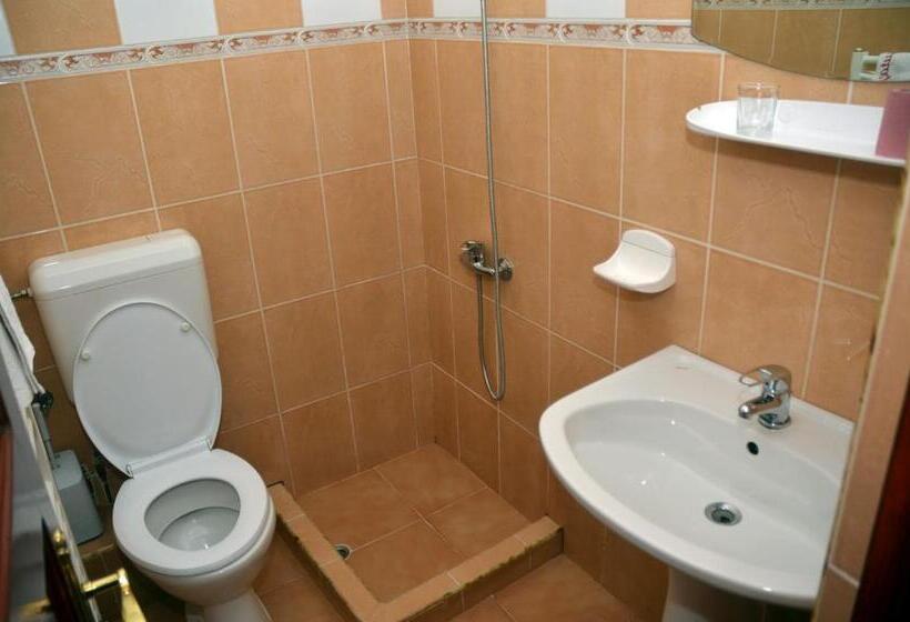 غرفة قياسية رباعية, Pensiunea La Palaguta