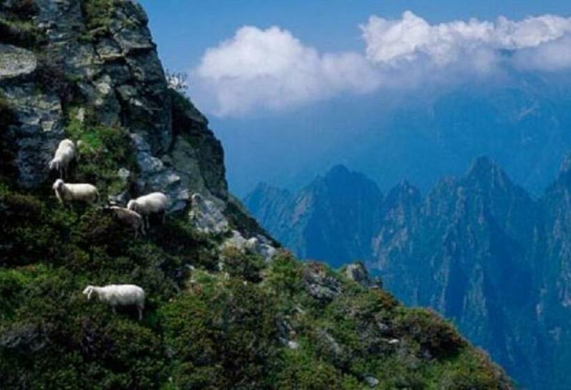 דירת חדר, Tre Ponti Monolocale