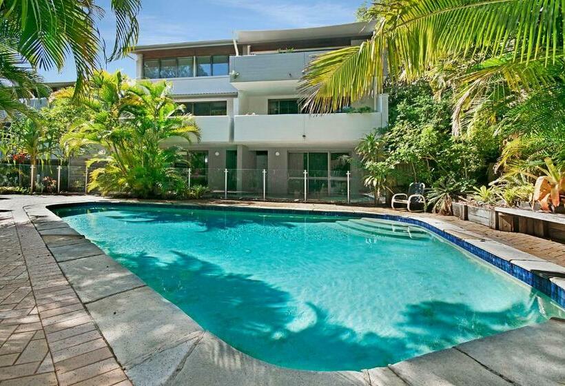 דירת שני חדרים, Tea Trees