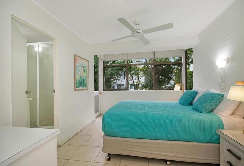 דירת שני חדרים, Tea Trees