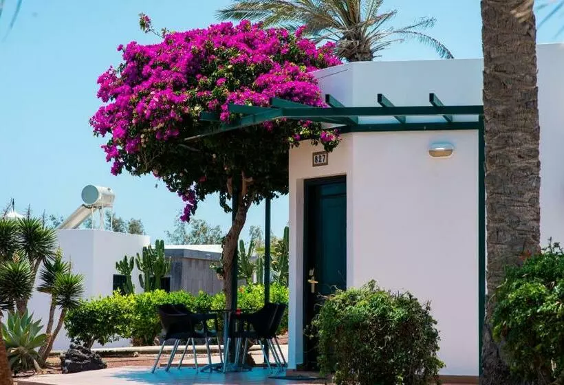 بانگلوی استاندارد 2 خوابه, HL Club Playa Blanca