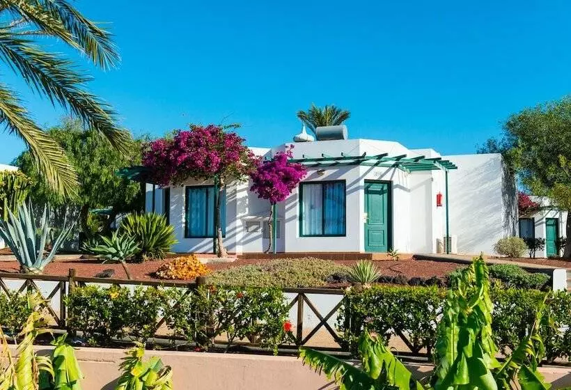 بانگلوی استاندارد 2 خوابه, HL Club Playa Blanca