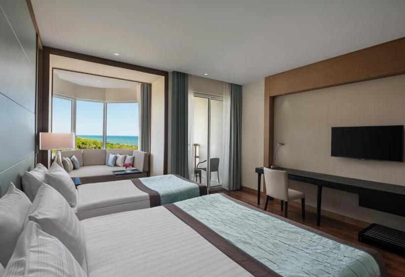 Superior Interior Room