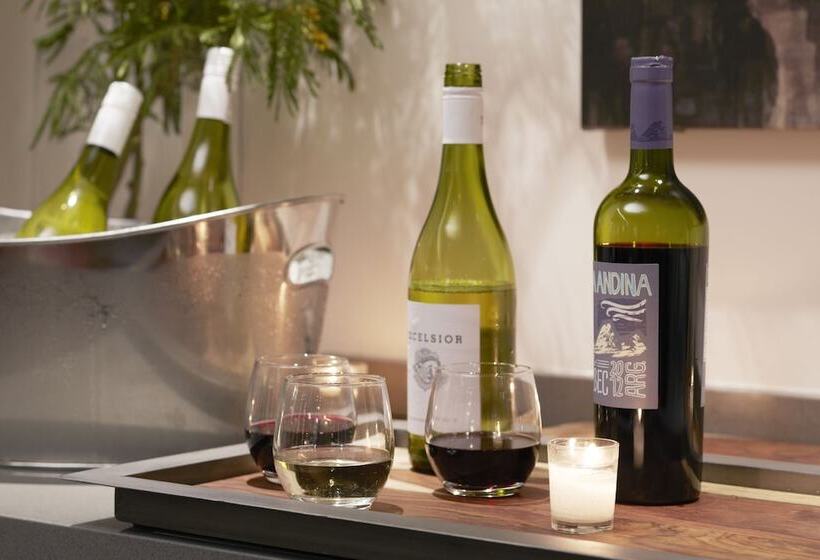 豪华工作室, The Shelburne Sonesta New York