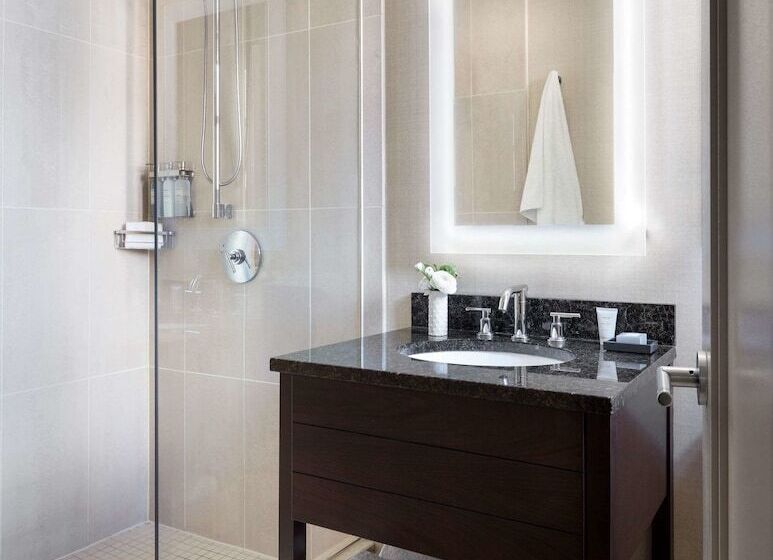 带1个卧室的带阳台的公寓, The Shelburne Sonesta New York