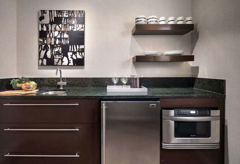 带1个卧室的带阳台的公寓, The Shelburne Sonesta New York