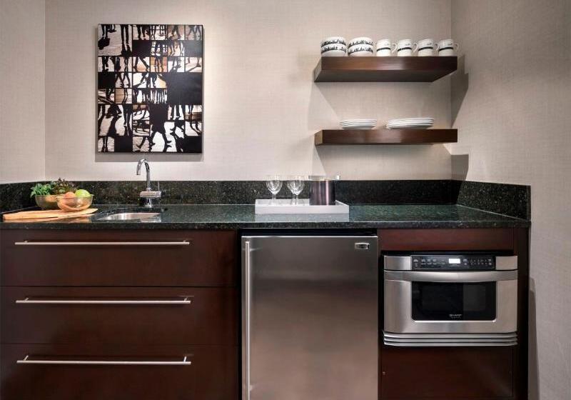 带1个卧室的公寓, The Shelburne Sonesta New York