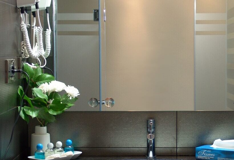 חדר סטנדרט יחיד, Tirana International Hotel & Conference Center